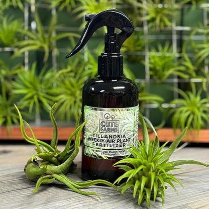 Cute Farms Tillandsia Air Plant Fertilizer | Gentle Weekly Use Formula Plant Food | Formulated Nutrients for Air Plants (8 oz. Spray Bottle + ONE Fine Mist Water Sprayer)