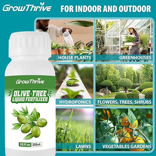 Olive Tree Fertilizer for All Olive and Oleaceae Trees, Liquid Plant Food for Fruit Trees Lush Foliage, Strong Roots, and Plump Olive Fruits, Nutrient-Rich Formula, 10oz