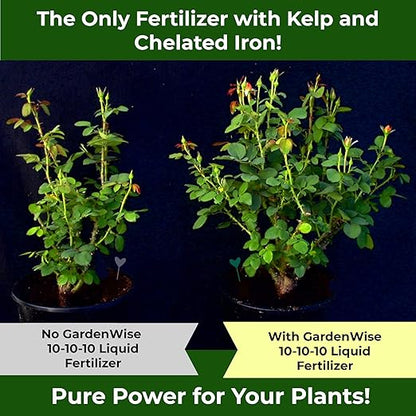 10-10-10 All Purpose Plant Food - Liquid Fertilizer with Seaweed Kelp & Iron - Indoor & Outdoor Plant Food, Vegetables, Flowers, Lawn & Garden 1x8oz