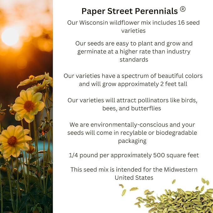 Wisconsin Bulk Perennial Wildflower Seed Mix 1lb Covers 2,000sq-ft - Attract Pollinators, Multi-Color Blooms - Midwest US Species Plant in Spring/Fall - Earth-Friendly Packaging (1/8 Pound (2 Ounces))