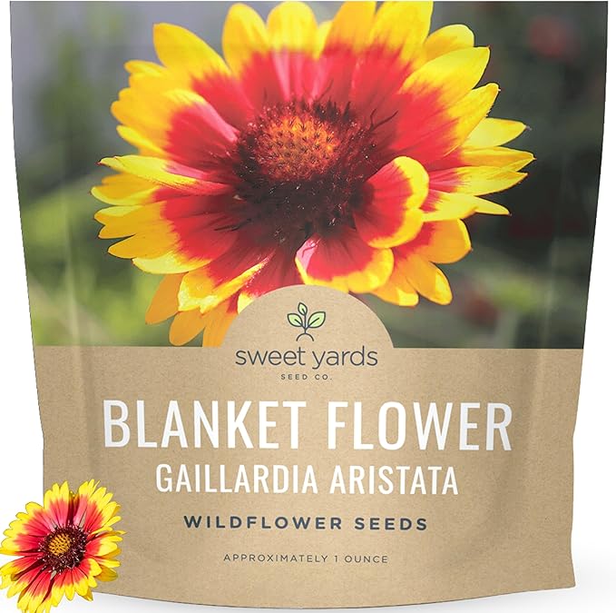 Blanket Flower – Gaillardia aristata – Large 1 Ounce Packet – 9,000 Flower Seeds for Planting