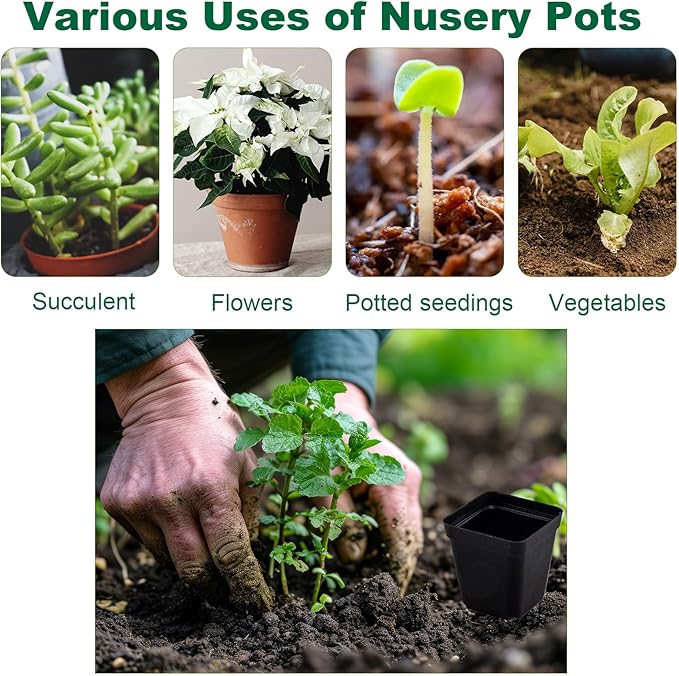 150 Packs Square Nursery Pots for Plants 4 Inch Succulent Plant Pots Set Plastic Seedling Starting Pots with Drainage Holes Nursery Pots Variety Pack Flower pots Planter Seed Starter, Black