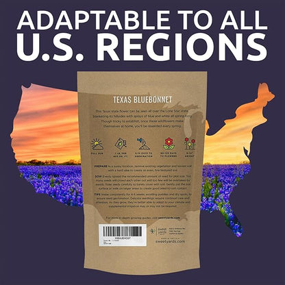 Bulk Texas Bluebonnet Wildflower Seeds - 1 Pound Bag - Over 16,000 Native Seeds - Texas State Flower!