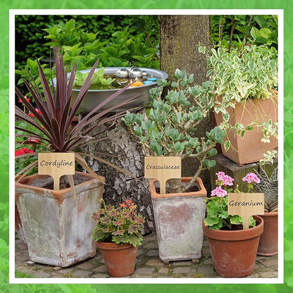 Hicarer 30 Pcs 30 Pack 5" x 9.4" Extra Large Bamboo Garden Markers, Natural Wood T-Type Large Plant Labels for Herbs, Flowers & Vegetables – Easy to Read Full-Size Tags for Garden Outdoor