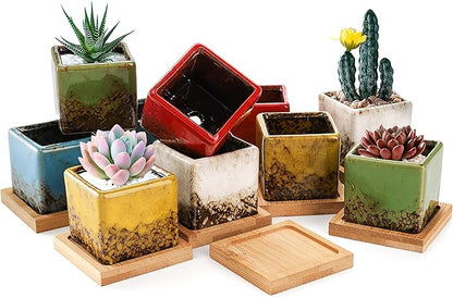 TOPZEA Set of 10 Succulent Planter Pots, 2 Inch Square Ceramic Glazed Cactus Plant Pot Tiny Flower Container with Drainage Hole & Bamboo Tray for Desk, Windowsill, Home Decor, Coffee Bar
