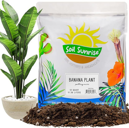 Soil Sunrise Banana Tree Potting Soil Mix (12 Quarts) – Hand-Blended Indoor/Outdoor Mix for Healthy Banana Plants – Enhances Drainage & Root Support – Made in USA