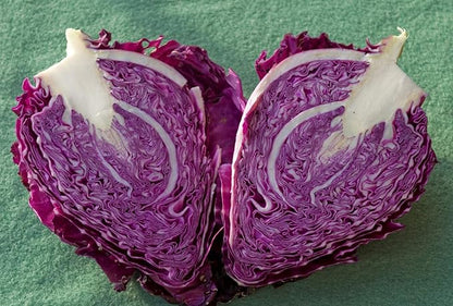 Seeds Red Kalibos Cabbage Giant Non GMO Vegetable for Planting