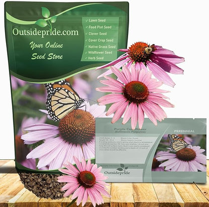 Outsidepride Purple Echinacea Coneflower Seeds - 1000 Pcs Perennial, Deer-Proof & Drought Tolerant Flower Seeds with Daisy-Like Blooms for Pollinator-Friendly Gardens, Borders, & Meadows