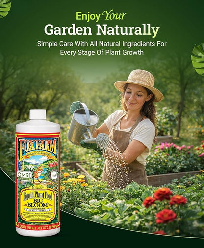 Fox Farm Big Bloom Liquid Plant Food - Organic Bloom Fertilizer for Flowering & Fruiting Plants, Contains Earthworm Castings & Bat Guano - Supports All Stages of Plant Growth - 0-0.5-0.7 NPK, 1 Quart