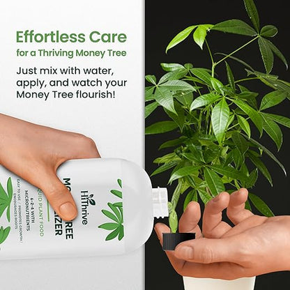 16oz Money Tree Plant Indoor Fertilizer - Makes 96 Gallons of Money Tree Fertilizer - Nutrient-Rich Plant Food with Macro & Micronutrients for Glossy Leaves, Strong Roots, and Lush, Tropical Growth