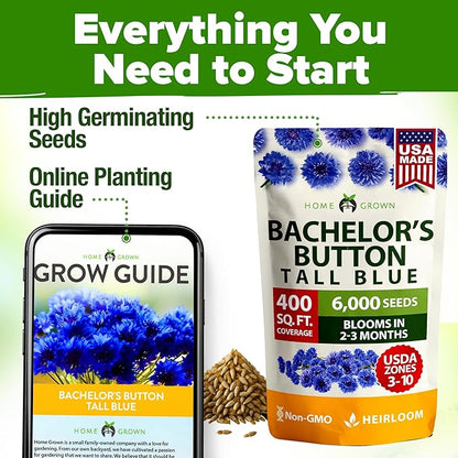 HOME GROWN Bachelor Button Seeds Tall Blue - 6000 Cornflower, Stunning Blue Blooms for Wildflower Gardens, Non-GMO Flowers & Pollinator-Friendly Spaces, Low Maintenance Flower Seeds (Centaurea cyanus)