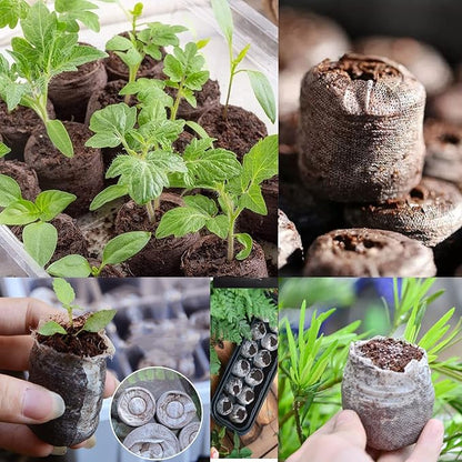 150 Pcs 30mm Peat Pellets Seed Starter Soil,Compressed Seed Starting Soil for Seed Starting of Plants, Fruits, Vegetables, Flowers, Easy Planting and Transplanting for Efficiency (150)