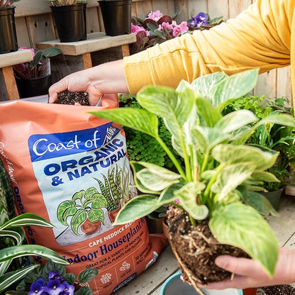 Coast of Maine (16qt) Cape Neddick Blend Organic and Natural, Indoor Houseplant Mix, Great for Indoor and Tropical Plants and Flowers