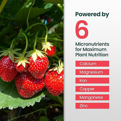 16oz Strawberry Fertilizer - Makes 16 Gallons of Fruit Tree Fertilizer for Strawberries, Liquid Plant Food Outdoor, Ideal Strawberry Plant Food for Lush Growth & Bigger, Sweeter Strawberries