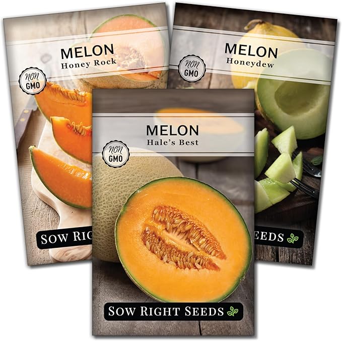Sow Right Seeds - Cantaloupe Fruit Seed Collection for Planting - Individual Packets Honey Rock, Hales Best and Honeydew Melon - Non-GMO Heirloom Seeds to Plant an Outdoor Home Vegetable Garden
