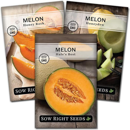 Sow Right Seeds - Cantaloupe Fruit Seed Collection for Planting - Individual Packets Honey Rock, Hales Best and Honeydew Melon - Non-GMO Heirloom Seeds to Plant an Outdoor Home Vegetable Garden