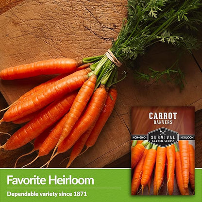 Danvers Carrot Seeds – Danvers 126 Half-Long Carrots for Planting, High-Yield Heirloom Variety – Non-GMO, Open Pollinated Garden Carrot Seeds – Survival Garden Seeds (1 Pack)