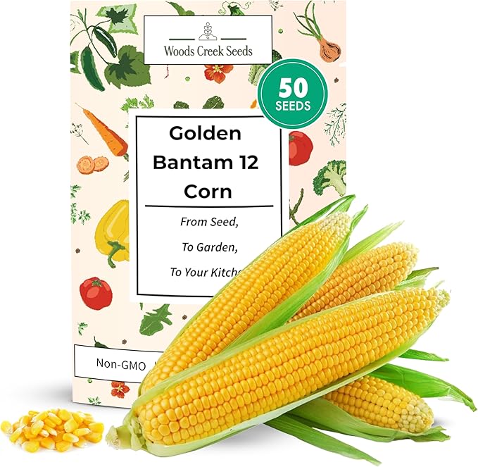 Golden Bantam 12 Sweet Corn Seeds for Planting – Heirloom Non-GMO Yellow Sweet Corn for Home Gardens | Woods Creek Seeds