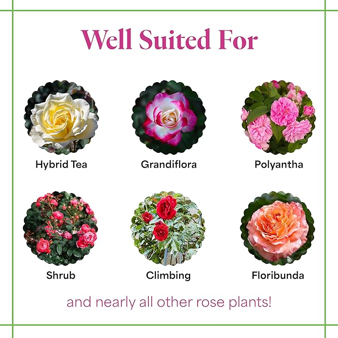 Grow More Magnum Rose Fertilizer (8-10-10) - 1.5lbs of USA-Made Rose Food - One-Step Water-Soluble Fertilizer to Increase Bloom & Growth