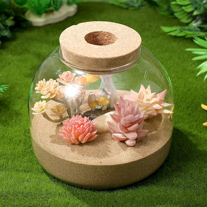 Glass Terrarium Jar with Airtight Wood Stopper for Hydroponic Plants Succulent Planter Moss and Micro Landscape Container 5.90 Inch Clear Glass Vase