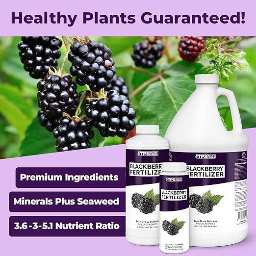 BlackBerry Fertilizer for BlackBerry Plants, Supports Healthy Growth and Plump Berries in BlackBerry Plants, Liquid Fertilizer by TPS Plant Foods, 32 oz (1 Quart)