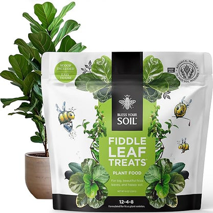 Fiddle Leaf Fig Plant Food - Fiddle Leaf Treats | Urea-Free Fertilizer | Fast Acting for Bigger Leaves and Stress Tolerance, 4X More Concentrated Than Liquid Plant Food | for All Ficus Plants