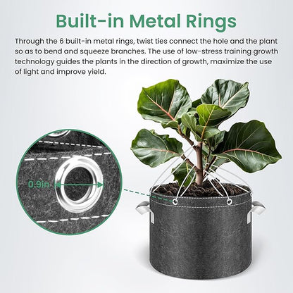 InfiniPower 5 Pack 5 Gallon Plant Grow Bags, 400G Thick Nonwoven Fabric Pots with Multi-Purpose Rings and Handles, Reusable for Low Stress Plant Training Fruits, Vegetables and Flowers