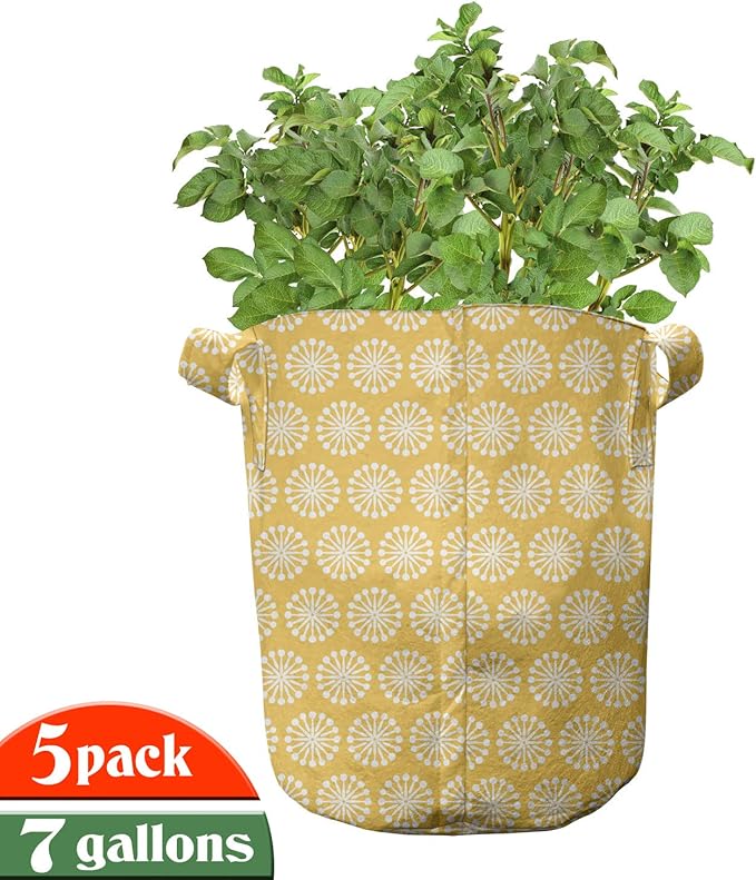 Ambesonne Yellow and White Grow Bags 5-Pack, Shabby Blossom, Heavyduty Fabric Pots with Handles for Plants, Marigold White