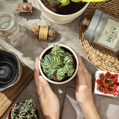 4+5.75 Inch Ceramic Planter Set of 2 with Drainage Hole and Saucer for Plants, Indoor-Outdoor Large Round Succulent Orchid Flower Pot -Reactive Color, Inner-pots not Larger Than 5 Inch