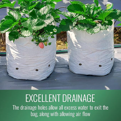 DL Wholesale Grow1 10 Gallon Grow Bags (25 Pack) - Black & White Poly Bags for Plants, Flowers, Vegetables - Modern, Rectangular, Drainage Hole, Indoor Use