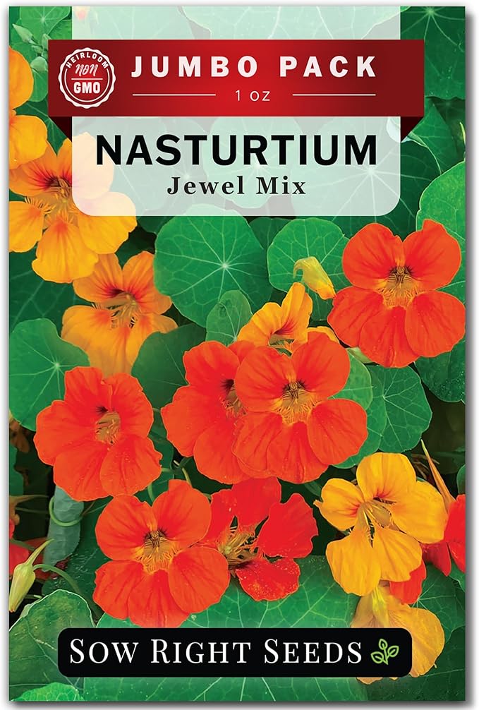 Sow Right Seeds - Bulk Jewel Mix Nasturtium Seeds for Planting - Non-GMO Heirloom Jumbo Pack - Versatile Nasturtiums Seeds for Containers & Borders - Easy-to-Grow Flowers - Ideal for Mass Planting