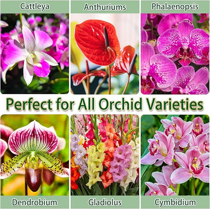 Premium Orchid Potting Mix for Repotting,2 Quarts Orchid Soil for Various Orchid Types,Orchid Specific Formula Blends Natural Pine Bark,Perlite,Coco Peat & Dried Forest Moss