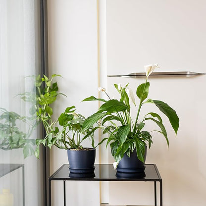 UNBREAKABLE Plant Pots Set of 2, Advanced Eco-Poly Planters with Drainage & Saucers, 6.5" + 5.5" Plastic Pots - Designer Indoor & Outdoor Décor and a Great Gift for Plant Lovers - Pacifica Wave Blue