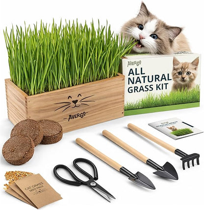 Cat Grass Kit for Indoor Cats – x4 Seed Packets | Cat Grass Seeds with Wooden Planter, Soil & Mini Gardening Tools for Nipping – Pet Wheatgrass Grass