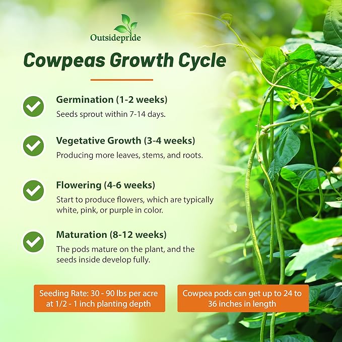Outsidepride Cowpeas Seeds - 50 lbs Heat & Drought-Tolerant, Nutrient-Rich Cowpea Seeds for Cover Crops, Food Plots, Forage - Ideal for Planting, Enhancing Soil Health, and Improving Soil Fertility