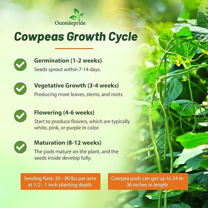 Outsidepride Cowpeas Seeds - 50 lbs Heat & Drought-Tolerant, Nutrient-Rich Cowpea Seeds for Cover Crops, Food Plots, Forage - Ideal for Planting, Enhancing Soil Health, and Improving Soil Fertility