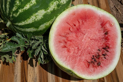 Plant Good Seed Organic Sweet Dakota Rose Watermelon Seeds for Planting: Fast Growing, Appropriate for Cooler Summer Climates, 15-20 Pound Fruits - 20 Seed Packet