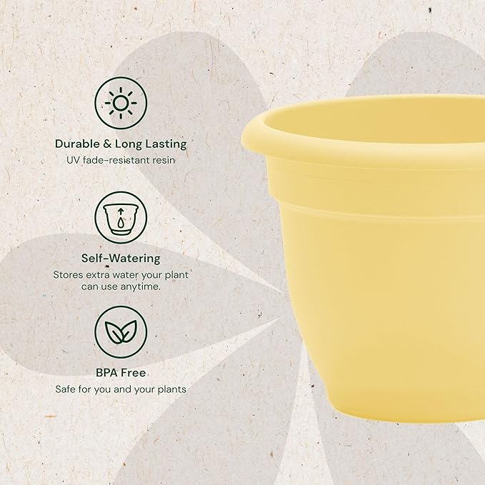 Bloem Ariana 8" Daffodil Round Self-Watering Resin Planter Pot - Rolled Rim Indoor and Outdoor Gardening Planter