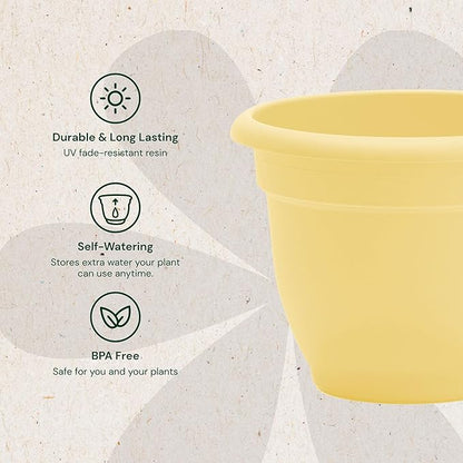 Bloem Ariana 8" Daffodil Round Self-Watering Resin Planter Pot - Rolled Rim Indoor and Outdoor Gardening Planter