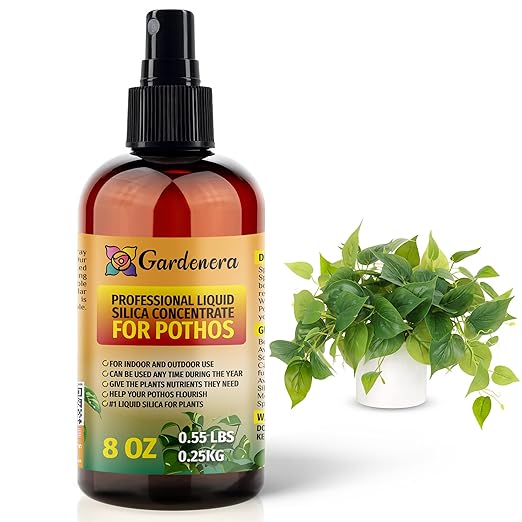 𝐒𝐔𝐏𝐄𝐑𝐈𝐎𝐑 Liquid Silica Boost Fertilizer and Supplement Spray for POTHOS Plants – Pre-Mixed, Ready-to-Use Liquid Silicon Plant Superfood Mist for Indoor & Outdoor Plants – 8oz