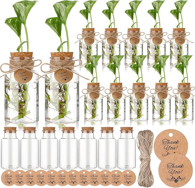 Baderke 24 Pack 4.84'' Plastic Plant Propagation Stations with Hole Lid Planter Vase Clear Propagation Jars with Thank You Tags for Plant Lover Gifts for Women Office Home Garden