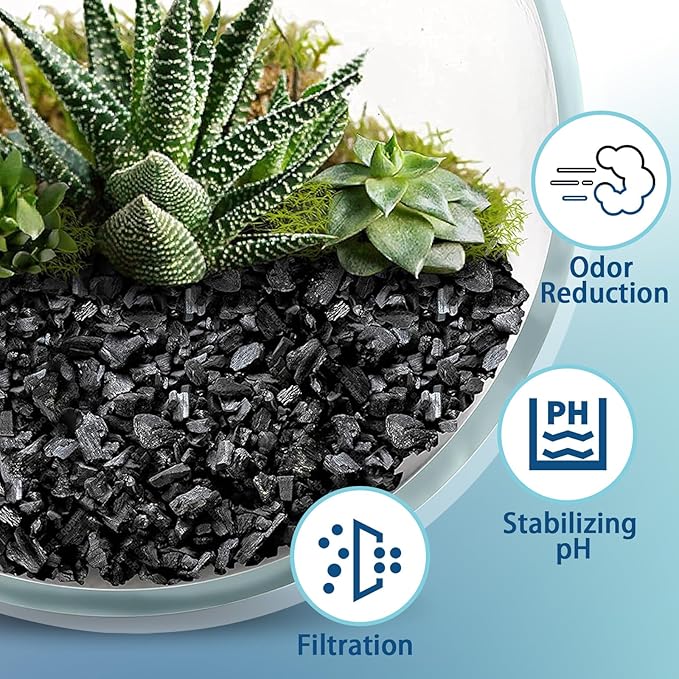 Horticulture Charcoal for Plants 1qt, Activated Hardwood Charcoal as Soil Amendment for Bonsai, Succulent, Terrarium Supplies, Indoor Plant Potting Soil