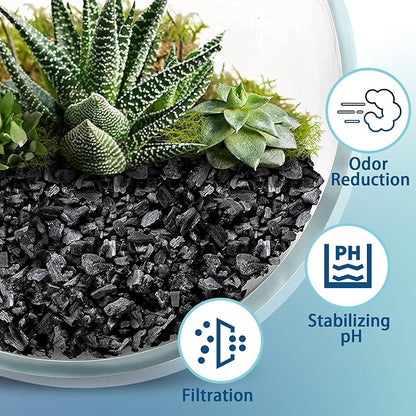 Horticulture Charcoal for Plants 1qt, Activated Hardwood Charcoal as Soil Amendment for Bonsai, Succulent, Terrarium Supplies, Indoor Plant Potting Soil