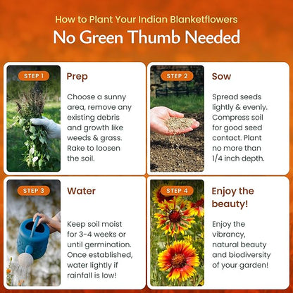 Created By Nature Indian Blanketflower Seeds, 5,640 Perennial Seeds