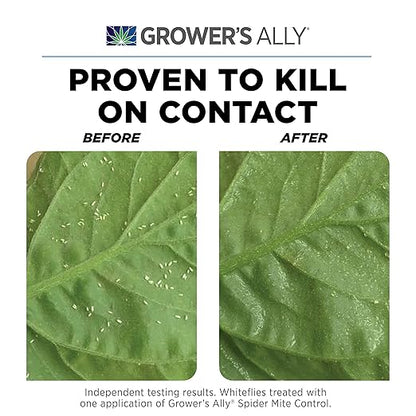 Grower's Ally Spider Mite Spray - Ready-to-Use Insect & Spider Mites Killer for Plants Indoor & Outdoor - OMRI Listed Garden Pest Control Plant Spray - Bee, Pet & Kid Safe Natural Formula - 24 Oz