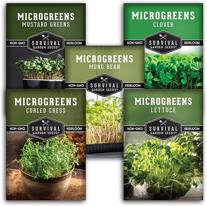 Microgreens Seeds 5-Variety Pack for Sprouting – Mustard, Mung Bean, Curled Cress, Clover & Lettuce Seed for Indoors – Fast-Growing Non-GMO Heirloom Starter Pack – Survival Garden Seeds