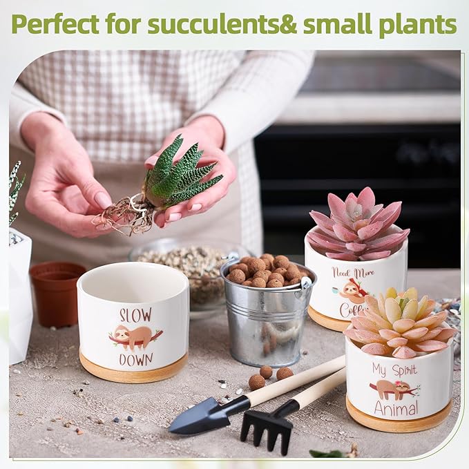 Vesici 3 Pcs Sloth Gifts for Women Sloth Planter Succulent Pots with Drainage and Bamboo Tray Small Ceramic Succulent Planters Animal Plant Pot for Christmas Office Home Decor Plant Lovers