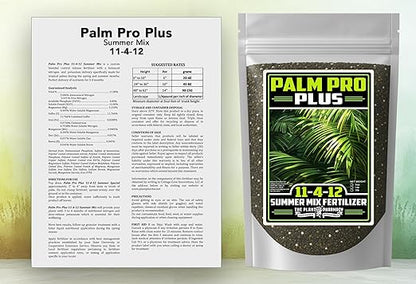 Fertilizer Commercial Grade | Palm Pro Plus Summer Mix 11-4-12 | 1 Pound | Professional Tropical Palm Tree Feed | 3–4 Month Granular Slow Release Feed Delivery | Topdress Water in | Warm Season