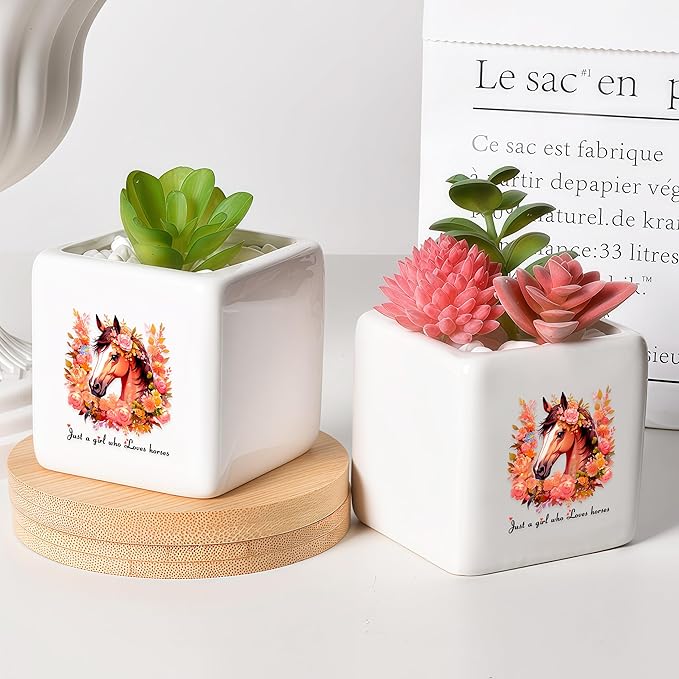 Horse Succulent Planter Flower Plant Pot Small, Gifts for Women Teens Girls Kids, Horse Lovers Themed Stuff Accessories Things Decor Merch, Home Office Table Desk Decoration!