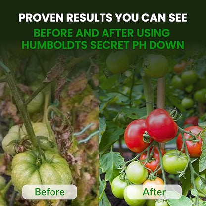 Humboldts Secret pH Down for Plants | Liquid pH Adjuster and Balancer for Soil Coco Hydroponics | Concentrated Phosphoric Acid Solution Supporting Nutrient Uptake and Strong Growth | 8 Ounce